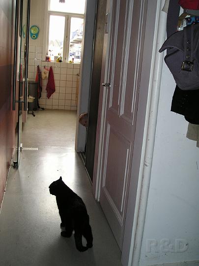 Imme 29 mei 2007 (1).JPG - kiekeboe ... waar ben ik